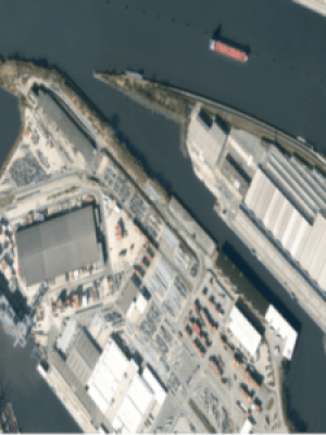 Picture13-10-300x300