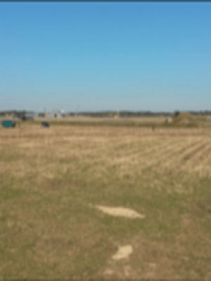 Picture13-11-300x300